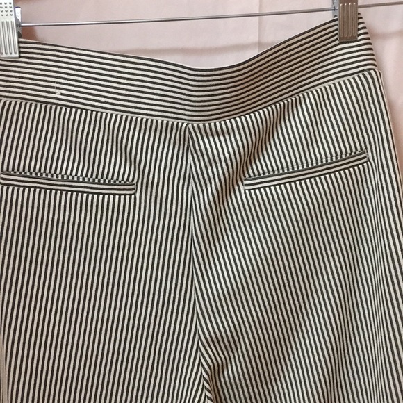 NWT Express Pull On Pant - Picture 5 of 5